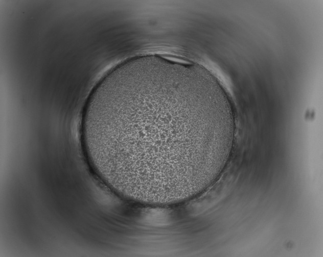 X0000102460107200808221629