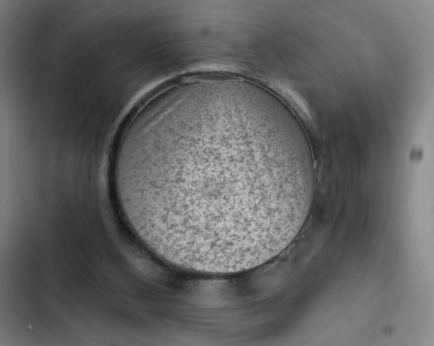 X0000102460108200808221629