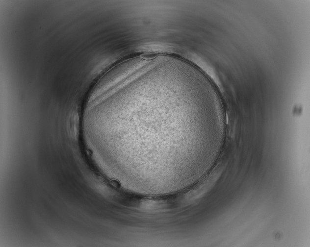 X0000102460109200808221628