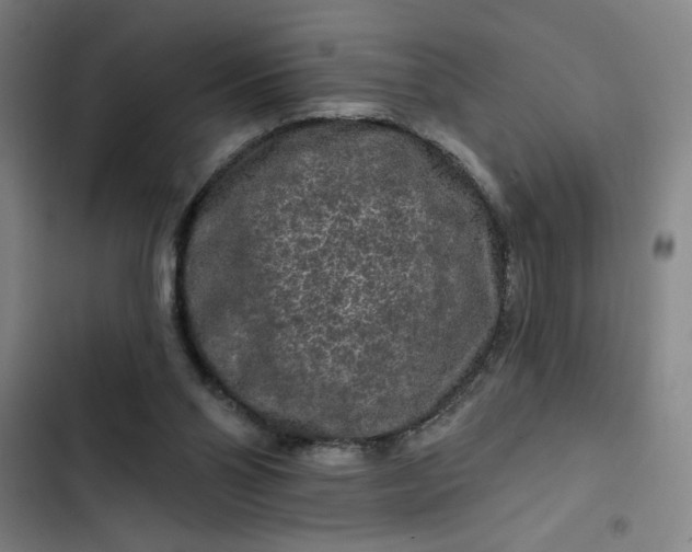 X0000102460110200808221628