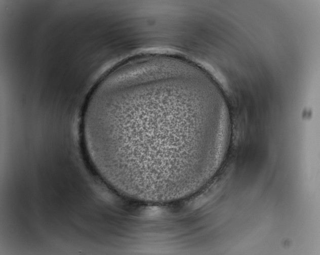 X0000102460111200808221628