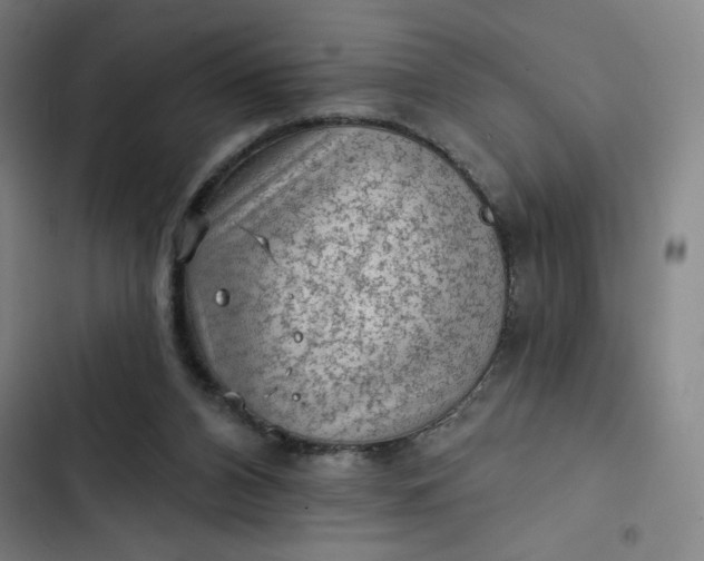 X0000102460112200808221628