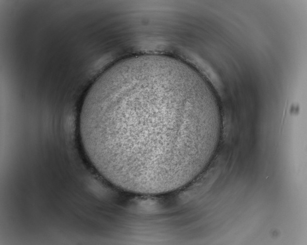 X0000102460113200808221628