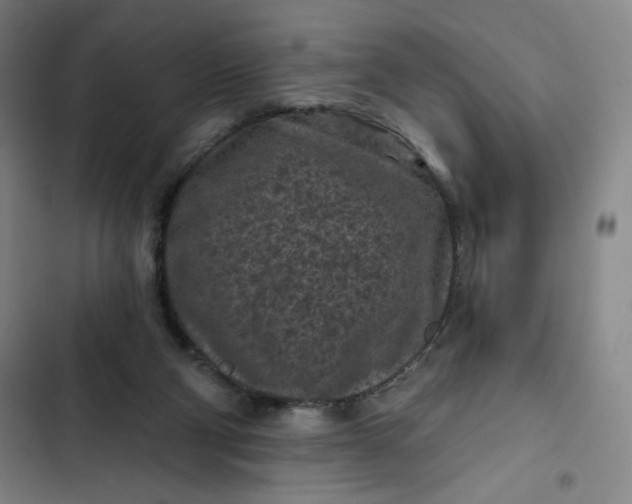 X0000102460114200808221628