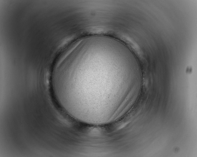 X0000102460115200808221628