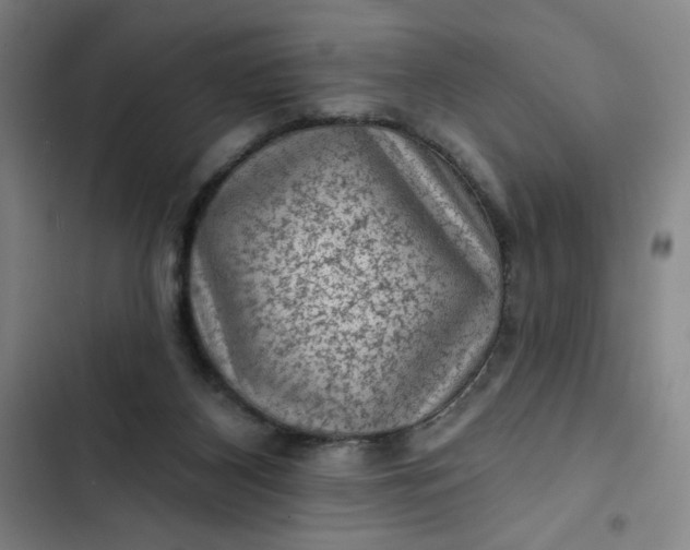 X0000102460116200808221628