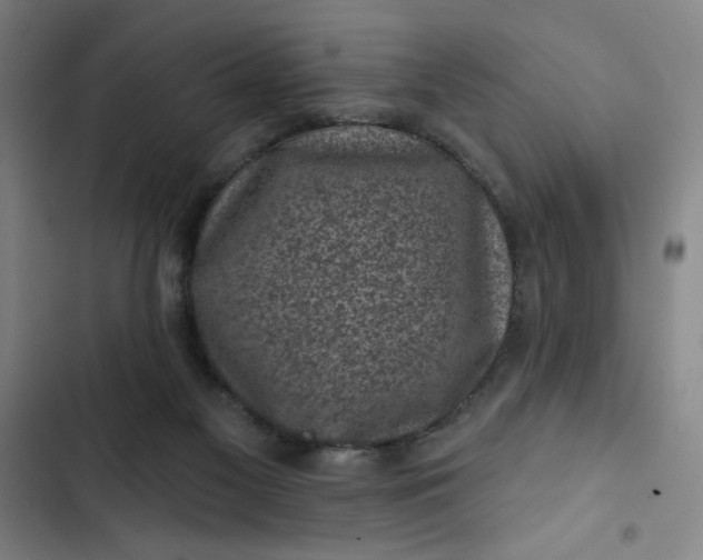 X0000102460117200808221628