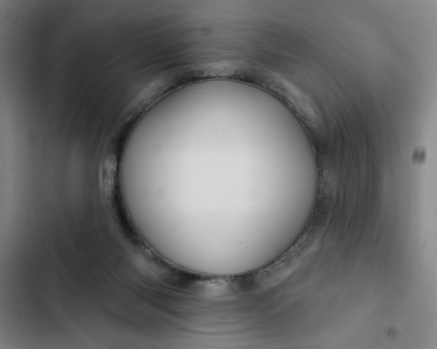 X0000102460118200808221628