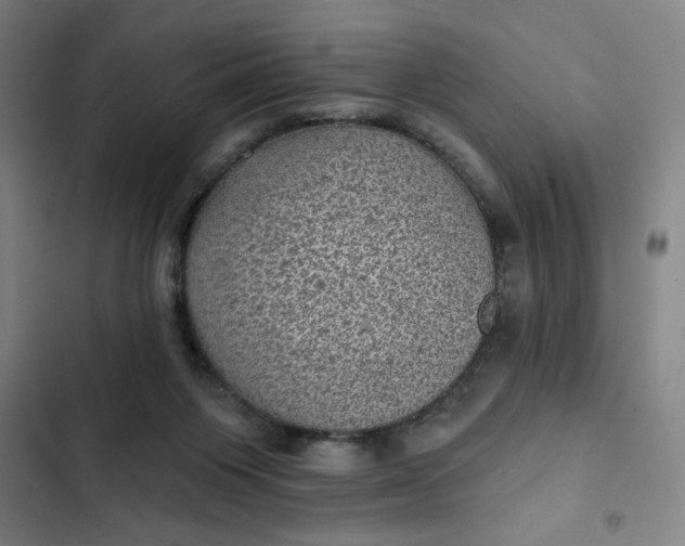 X0000102460119200808221628