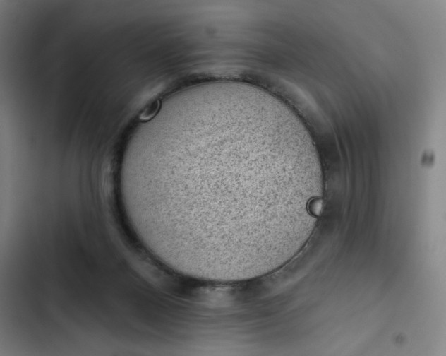 X0000102460120200808221628