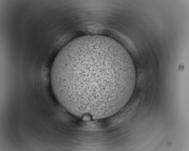 X0000102460121200808221628