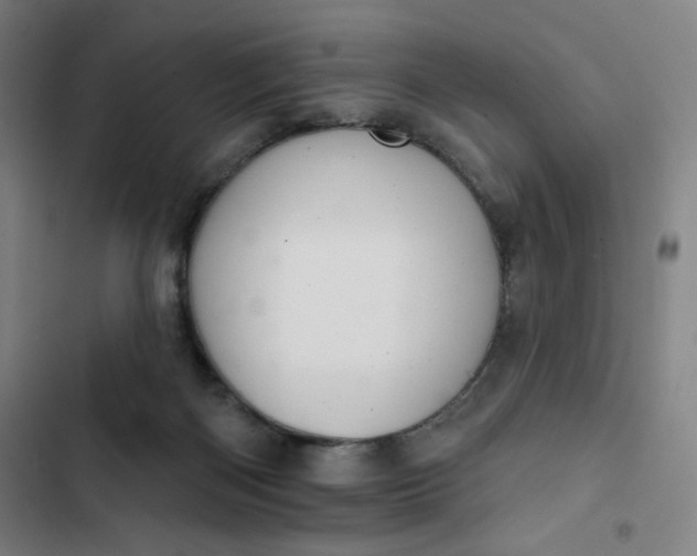 X0000102460122200808221628