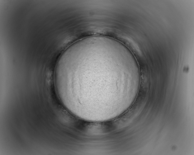 X0000102460123200808221628