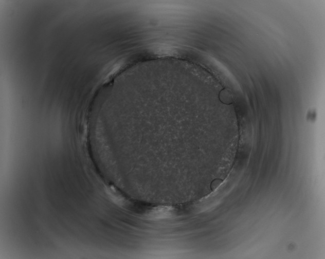 X0000102460124200808221628