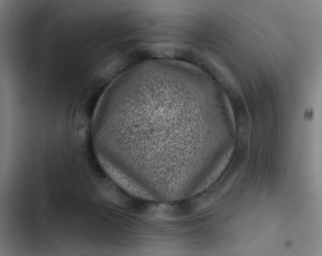 X0000102460125200808221628