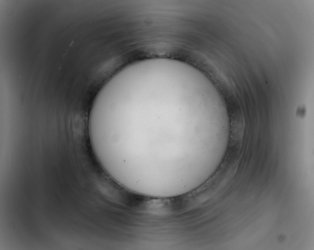 X0000102460126200808221628