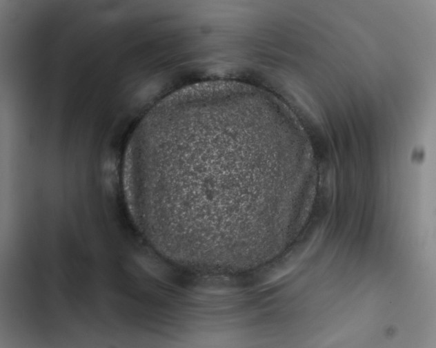 X0000102460127200808221628