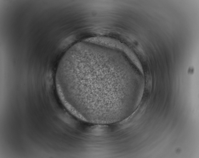 X0000102460128200808221628