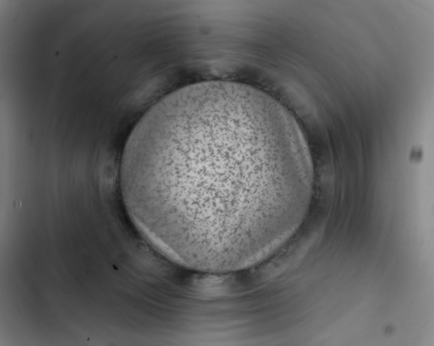 X0000102460129200808221628