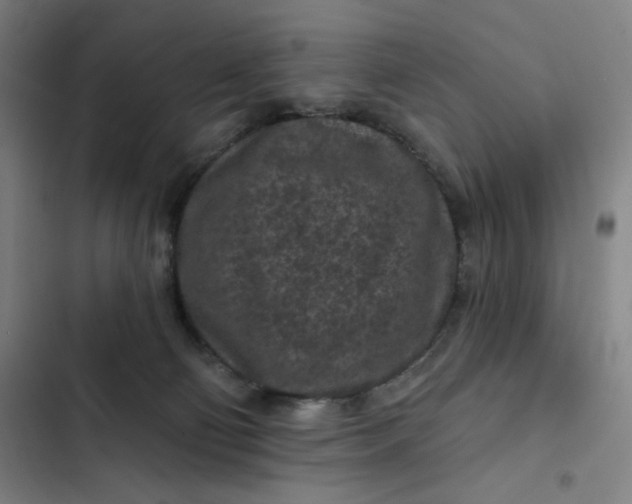 X0000102460130200808221628