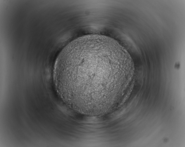 X0000102460131200808221628