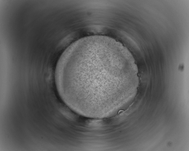 X0000102460132200808221628