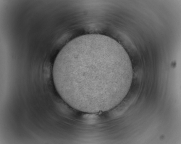 X0000102460133200808221628