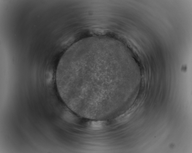 X0000102460134200808221628