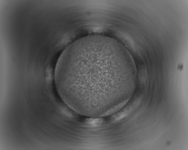 X0000102460135200808221628