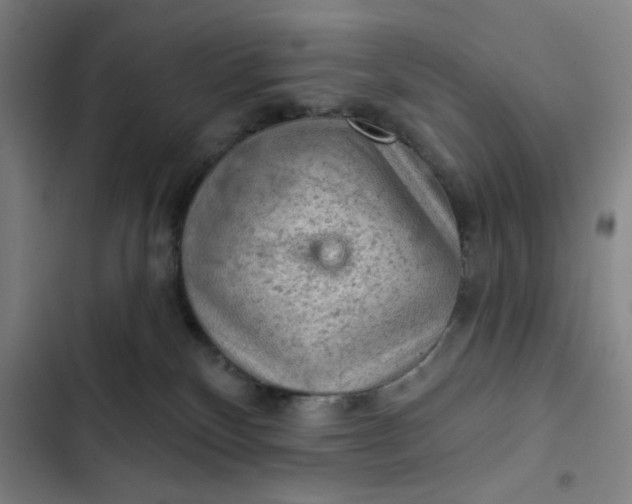 X0000102460136200808221628