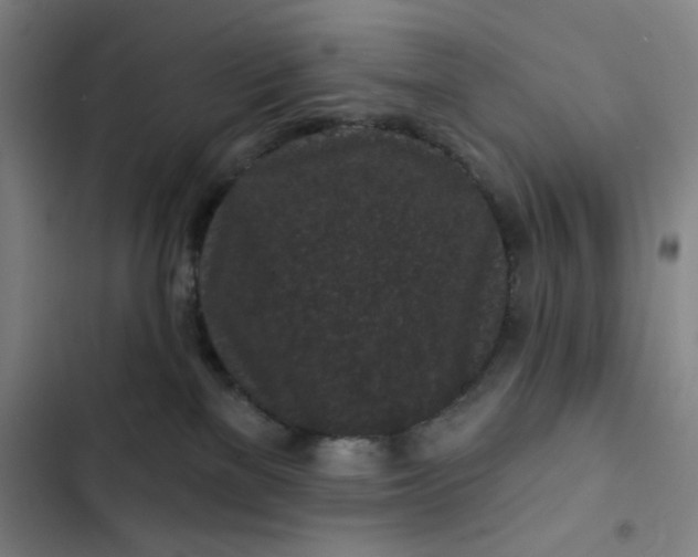 X0000102460137200808221628