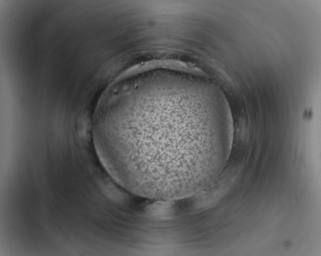 X0000102460138200808221628