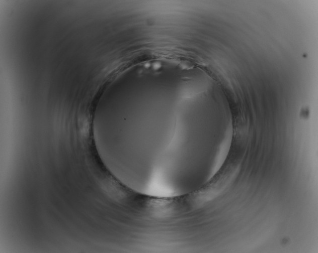 X0000102460139200808221628