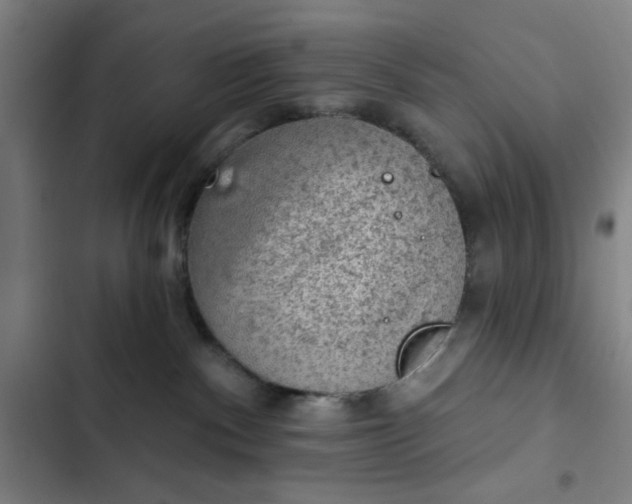 X0000102460140200808221628