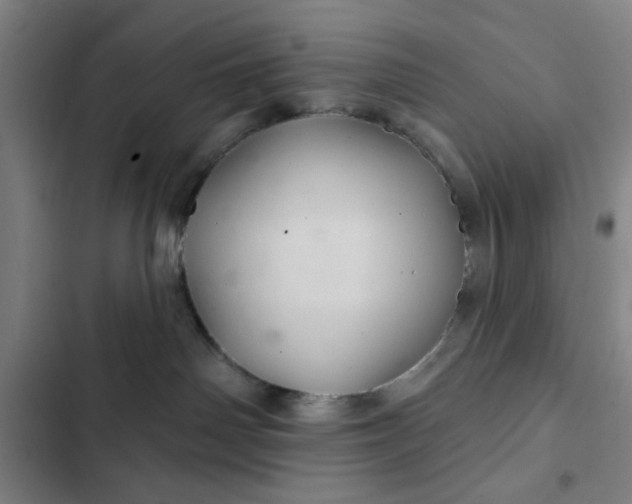 X0000102460142200808221628