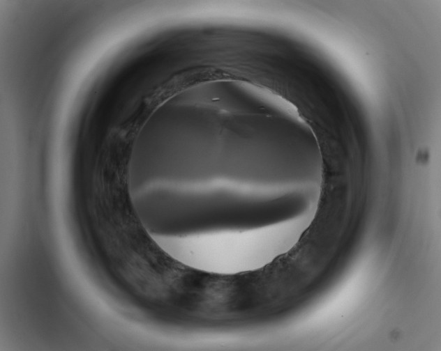 X0000102460143200808221628