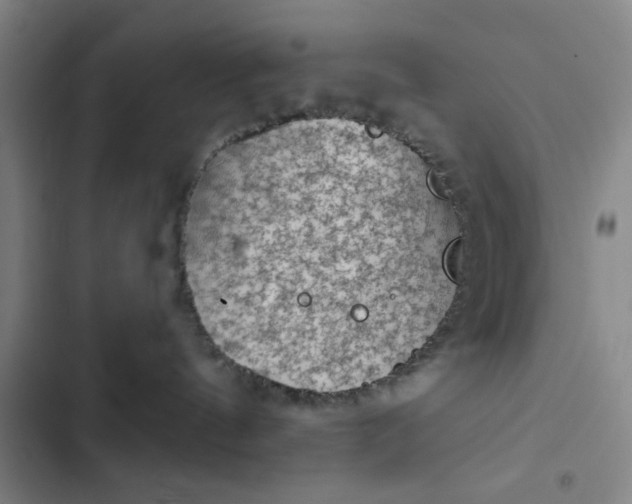 X0000102460144200808221628