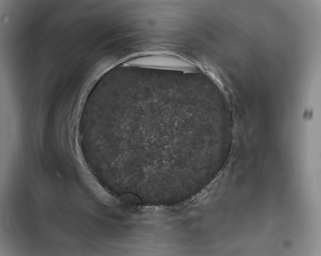 X0000102460145200808221627