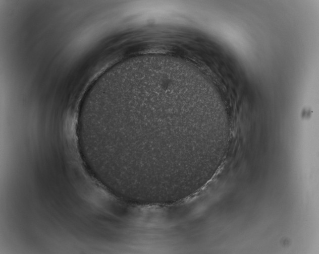 X0000102460146200808221627