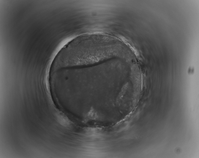 X0000102460147200808221627