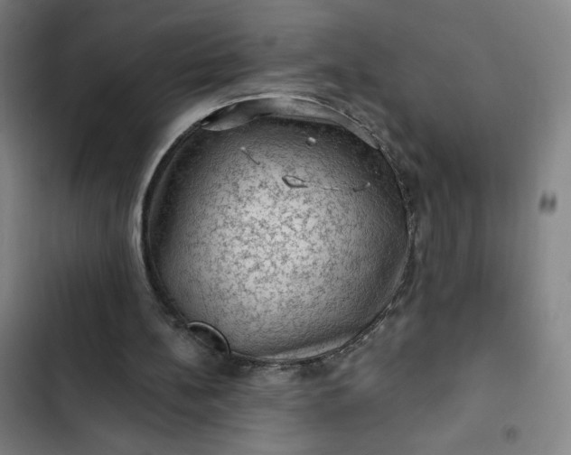 X0000102460148200808221627