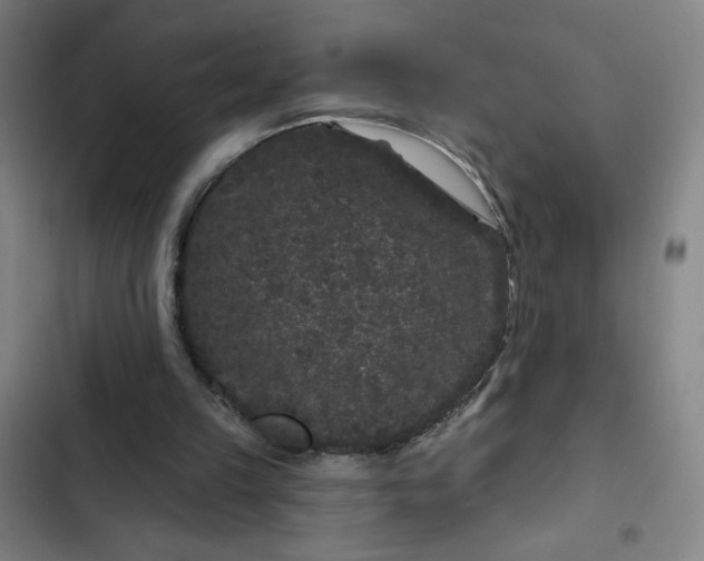 X0000102460149200808221627