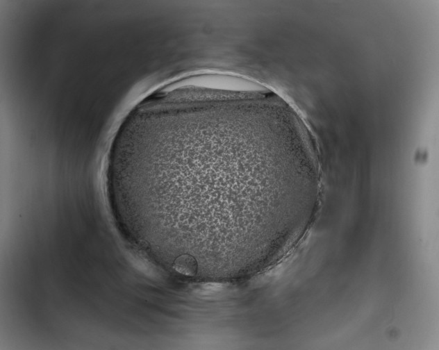 X0000102460151200808221627