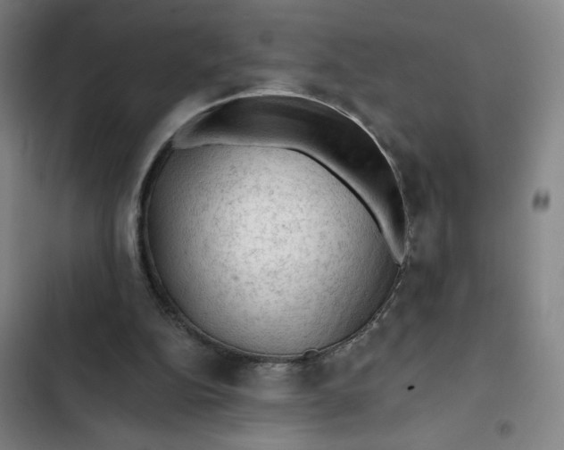 X0000102460152200808221627