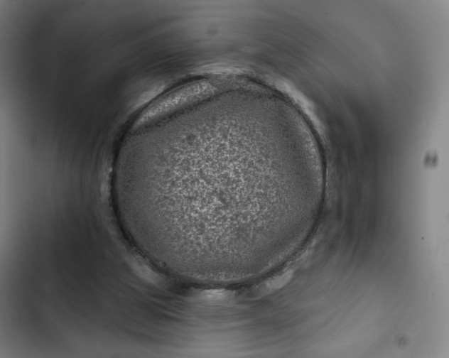 X0000102460153200808221627