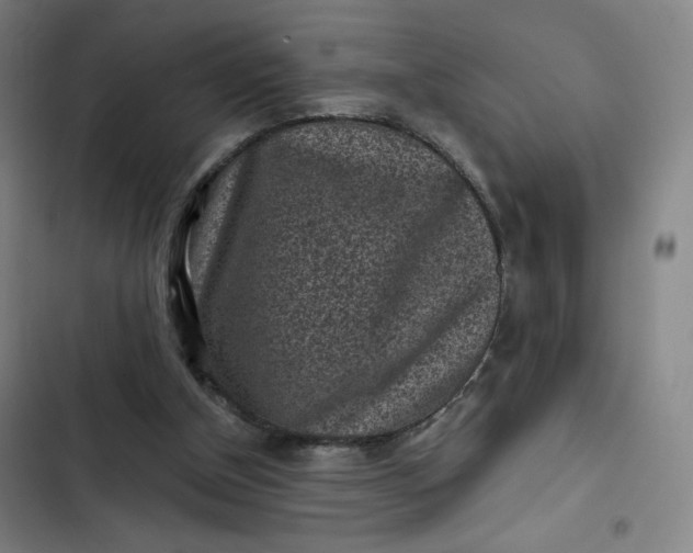 X0000102460154200808221627