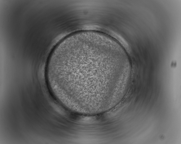 X0000102460155200808221627