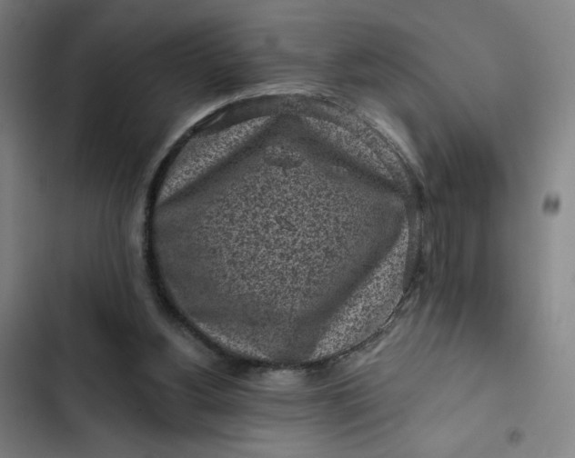 X0000102460156200808221627