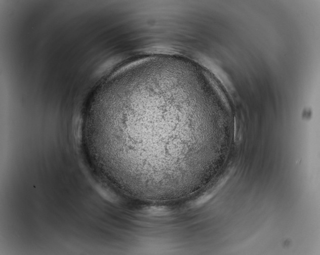 X0000102460157200808221627