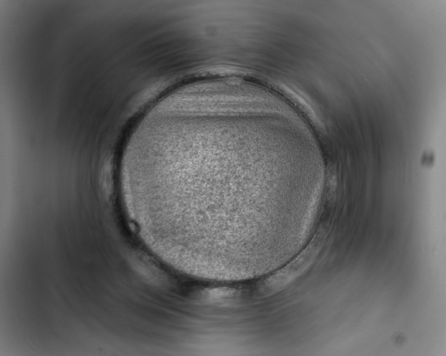 X0000102460158200808221627